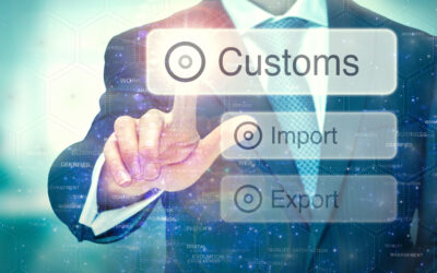 CHIEF to CDS Migration Made Easy With Customs Insights